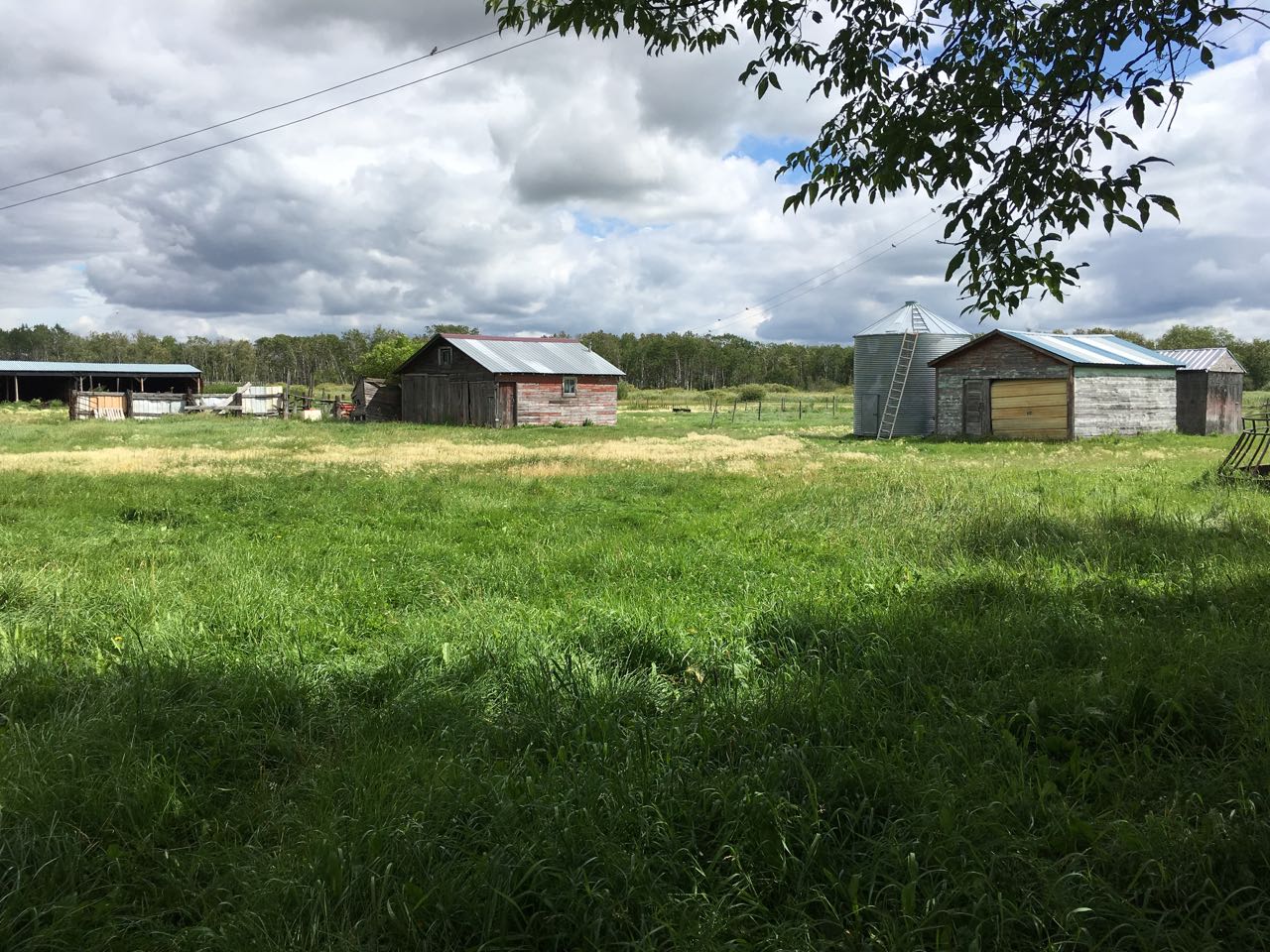 The Sablatash homestead meadow, sheds, and grain bin